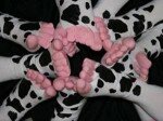 The-Cowbelles