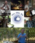 The Like Its Band